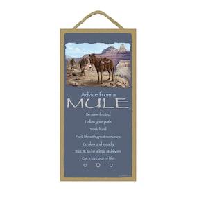 May include: A rustic wooden sign with a blue background featuring a cartoon mule with a saddle and the text "Advice from a MULE" and a list of advice: "Be sure-footed, Follow your path, Work hard, Pack life with great memories, Go slow and steady, It's OK to be a little stubborn, Get a kick out of life!"