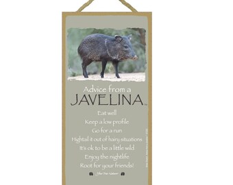 &quot;Rat von einer Javelina Essen gut Es ist ok, eine kleine wilde Wurzel für deine Freunde zu sein ... Made In USA Holzschild 10 &quot;X 5&quot; Schneller, kostenloser Versand NEUES D86.&quot;