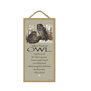 Advice from an Owl Stay focused Trust in a wise friend Be observant Life&#39;s a hoot Glide... Made In USA Wood Hanging Sign 10X5 Shipping 942