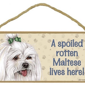 A spoiled rotten Maltese (with Bow) lives here! Made In The USA Wood Hanging Dog Sign Gift Home Decor 10&quot;X 5&quot; Fast FREE Shipping NEW 153