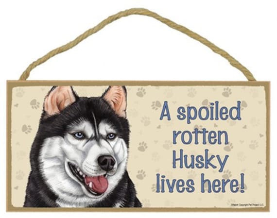 A Spoiled Rotten Husky (siberian) Lives Here! Cute With Paw Prints