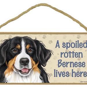 A spoiled rotten Bernese (Mountain Dog) lives here! With Paw Prints Made In USA Wood Hanging Dog Sign Gift Home Decor 10&quot;X5&quot; FREE Ship 198