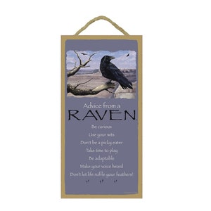 Advice from a Raven Be curious Use your wits Be adaptable Make your Voice heard... Made In USA Wood Sign 10&quot;X5&quot; Fast FREE Shipping NEW D90