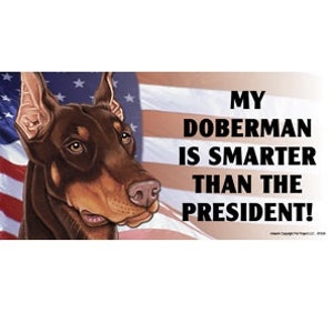 My Doberman Is Smarter Than The President Funny Magnet Car Fridge Any Metal Surface Waterproof UV Resistant Made In USA 4"x8" FREE Shipping