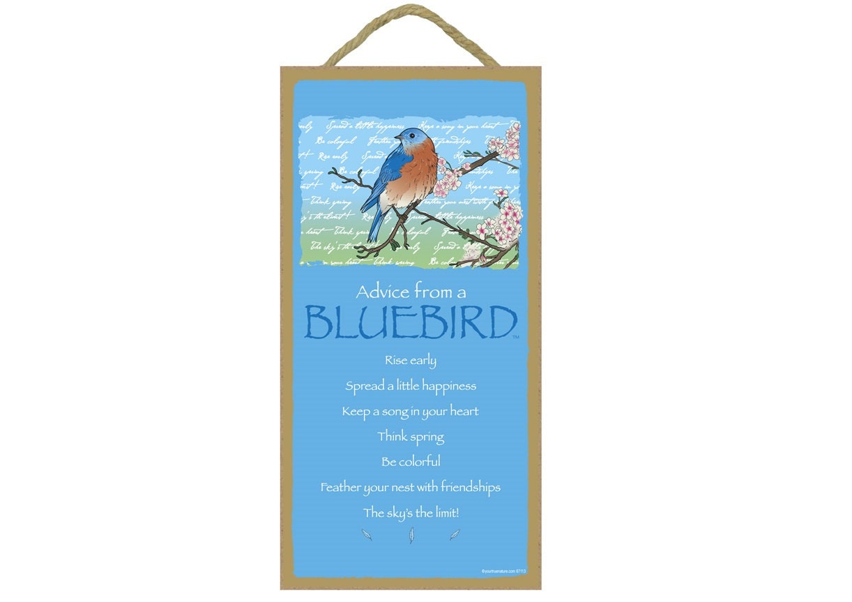 Tipps von einem Bluebird Rise früh Verbreite ein wenig Glück Be bunt Der Himmel ist ... Made In The USA Sign 10 "x 5" Schneller kostenloser Versand New C30