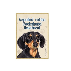 Spoiled Rotten Dachshund lives here! Blk Tan Wood Dog Magnet Fridge Kitchen Locker Any Metal Surface Made In USA 2.5&quot; x 3.5&quot; FREE Shipping
