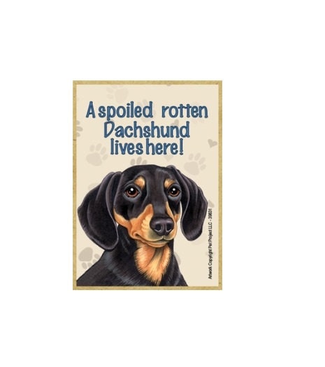 Spoiled Rotten Dachshund Lives Here Blk Tan Wood Dog Magnet