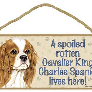 Spoiled Rotten Cavalier King Charles Spaniel lives here! Cute  Made In The USA Wood Hanging Dog Sign 10&quot; X 5&quot; FREE Shipping NEW 181