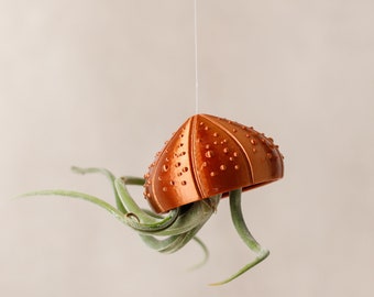 3D Printed Copper Sea Shell Air Plant Holders, Air Plant Holder, Plant Holder, Sea Shells, Eco-Friendly Bio-Based Material