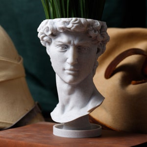 David Renaissance Eco-Friendly 3D Printed Head Planter zdjęcie 7