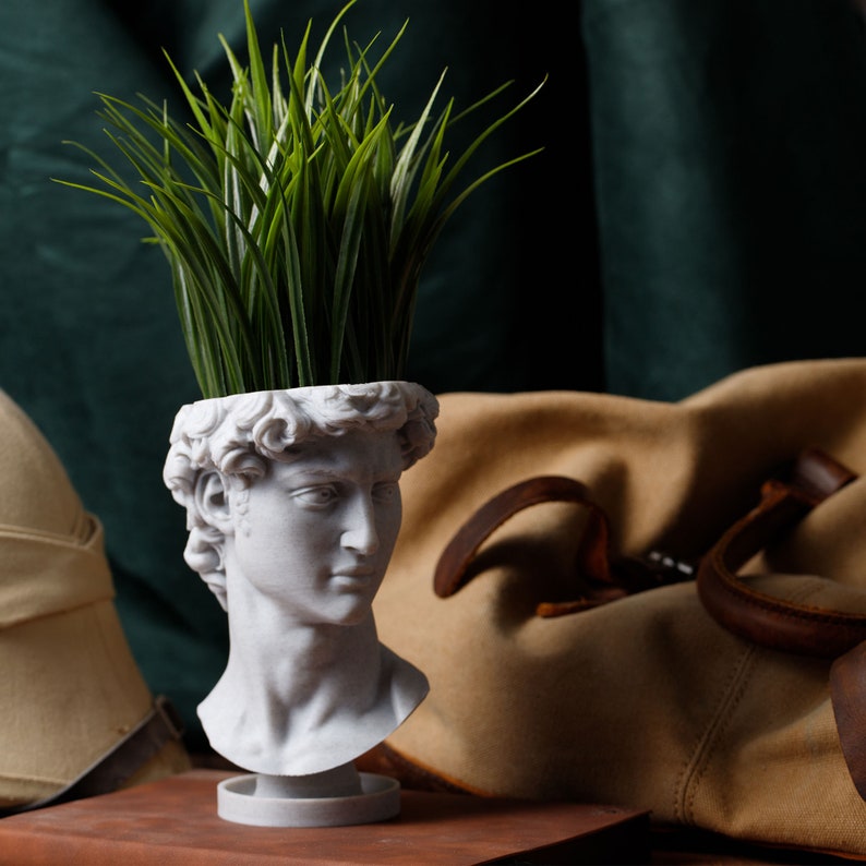 David Renaissance Eco-Friendly 3D Printed Head Planter zdjęcie 6