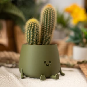 3D Printed Happy Face Planter, Eco-Friendly Bio-Based Material, Cute Plant Pot, Face Planter Pot, Head Planter, Succulent Pot zdjęcie 3