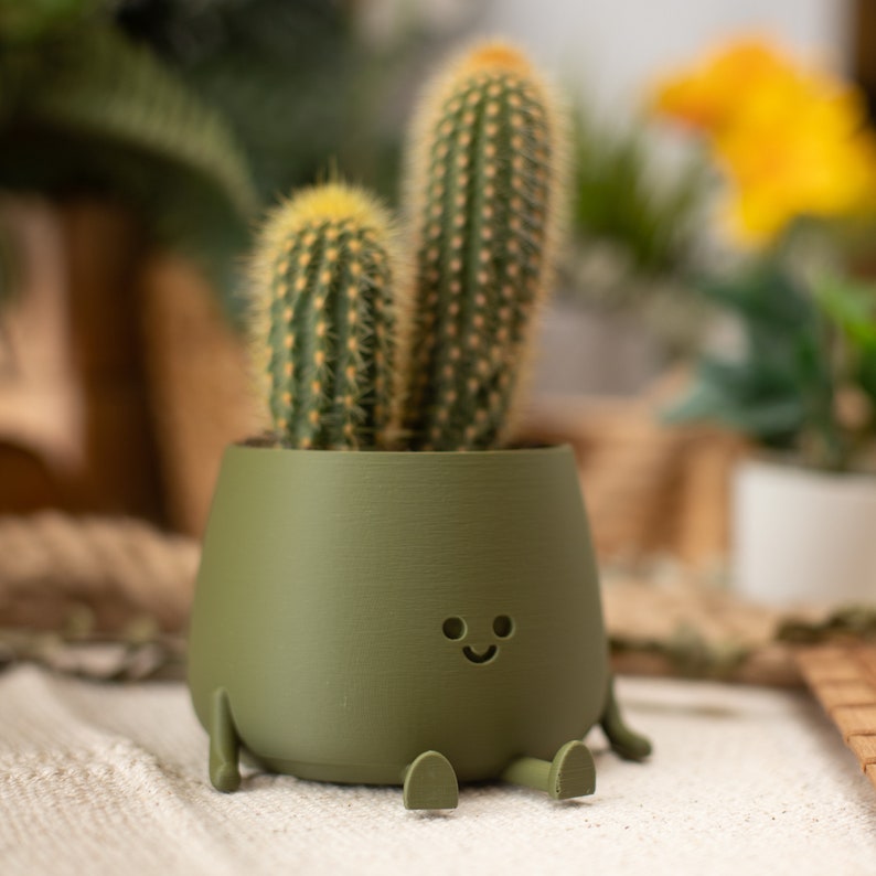 3D Printed Happy Face Planter, Eco-Friendly Bio-Based Material, Cute Plant Pot, Face Planter Pot, Head Planter, Succulent Pot zdjęcie 3