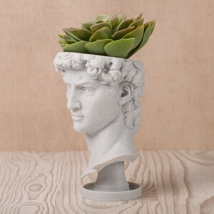 David Renaissance Eco-Friendly 3D Printed Head Planter zdjęcie 5