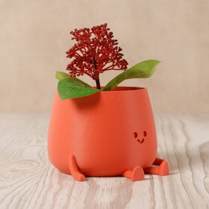 3D Printed Happy Face Planter, Eco-Friendly Bio-Based Material, Cute Plant Pot, Face Planter Pot, Head Planter, Succulent Pot