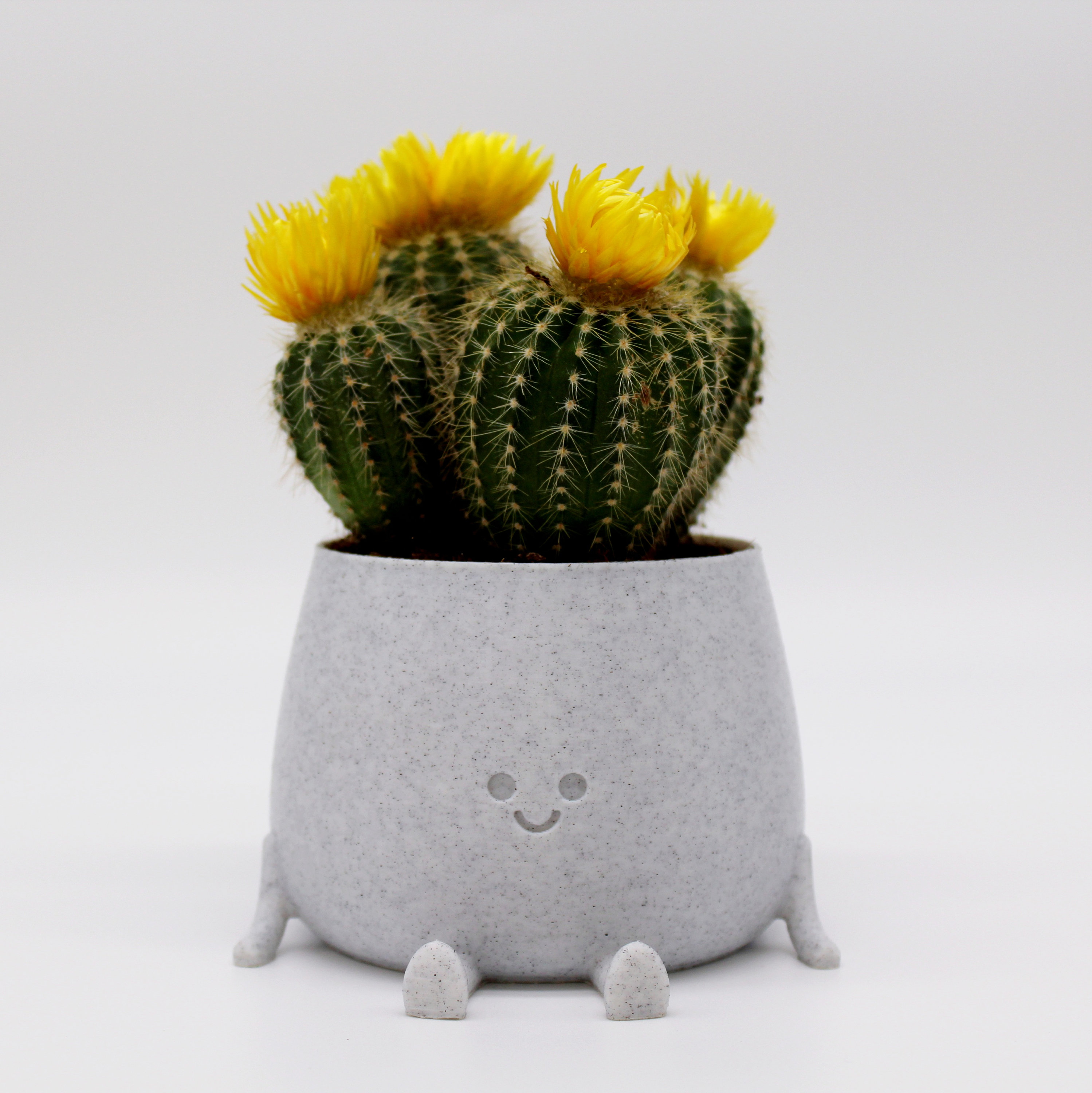 3D Printed Happy Face Planter EcoFriendly BioPlastic Etsy