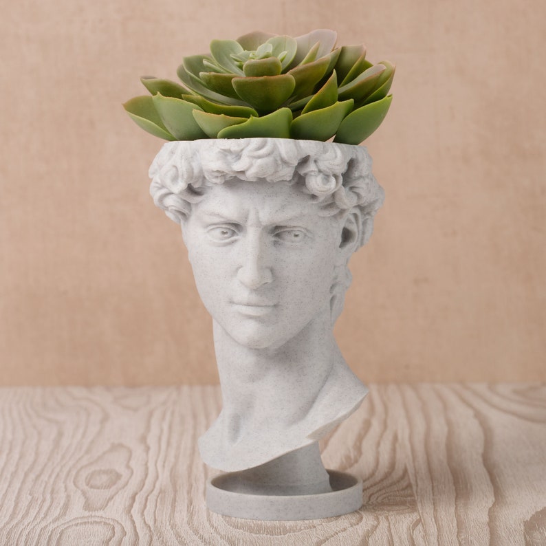 David Renaissance Eco-Friendly 3D Printed Head Planter zdjęcie 2