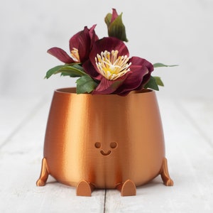 3D Printed Happy Face Planter, Eco-Friendly Bio-Based Material, Cute Plant Pot, Face Planter Pot, Head Planter, Succulent Pot