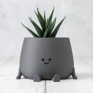 3D Printed Happy Face Planter, Eco-Friendly Bio-Based Material, Cute Plant Pot, Face Planter Pot, Head Planter, Succulent Pot