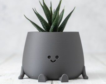 3D Printed Happy Face Planter, Eco-Friendly Bio-Based Material, Cute Plant Pot, Face Planter Pot, Head Planter, Succulent Pot