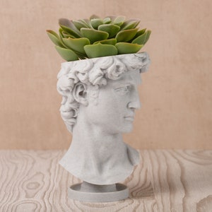 David Renaissance Eco-Friendly 3D Printed Head Planter zdjęcie 3