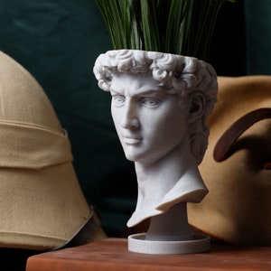 David Renaissance Eco-Friendly 3D Printed Head Planter zdjęcie 4