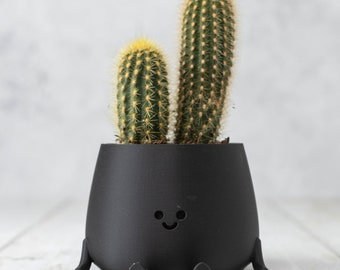 3D Printed Happy Face Planter, Eco-Friendly Bio-Based Material, Cute Plant Pot, Face Planter Pot, Head Planter, Succulent Pot