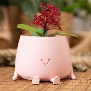 3D Printed Happy Face Planter, Eco-Friendly Bio-Based Material, Cute Plant Pot, Face Planter Pot, Head Planter, Succulent Pot