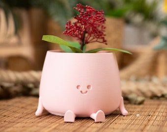 3D Printed Happy Face Planter, Eco-Friendly Bio-Based Material, Cute Plant Pot, Face Planter Pot, Head Planter, Succulent Pot