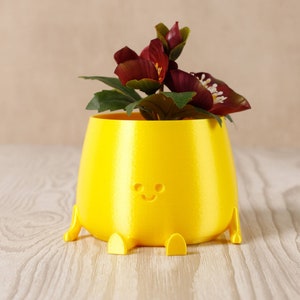 3D Printed Happy Face Planter, Eco-Friendly Bio-Based Material, Cute Plant Pot, Face Planter Pot, Head Planter, Succulent Pot