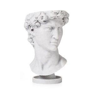 David Renaissance Eco-Friendly 3D Printed Head Planter zdjęcie 1