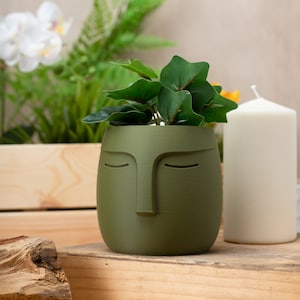 3D Printed Nordic Face Planter, Eco-Friendly Bio-Based Material, Cute Plant Pot, Face Planter Pot, Head Planter, Succulent Pot