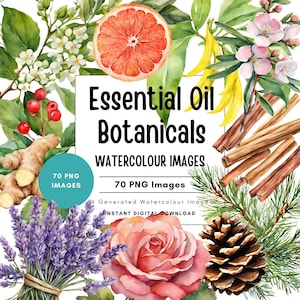 Op de afbeelding: Waterverfillustratie van essentiële olie botanicals, waaronder een grapefruit schijf, lavendel, een roos en kaneelstokjes. De tekst luidt "Essential Oil Botanicals" en "70 PNG Images."