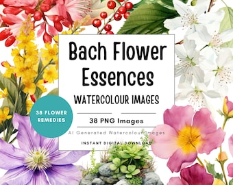 Puede incluir: Una imagen digital descargable con imágenes de acuarela de varias flores, incluyendo flores rosas, moradas, amarillas y blancas. El texto dice "Bach Flower Essences" y "Watercolour Images". Incluye 38 imágenes PNG.