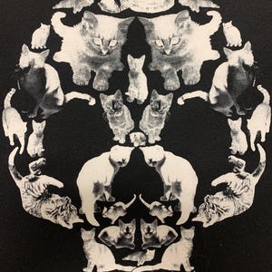 Gently Used Kitty Skull t shirt Medium