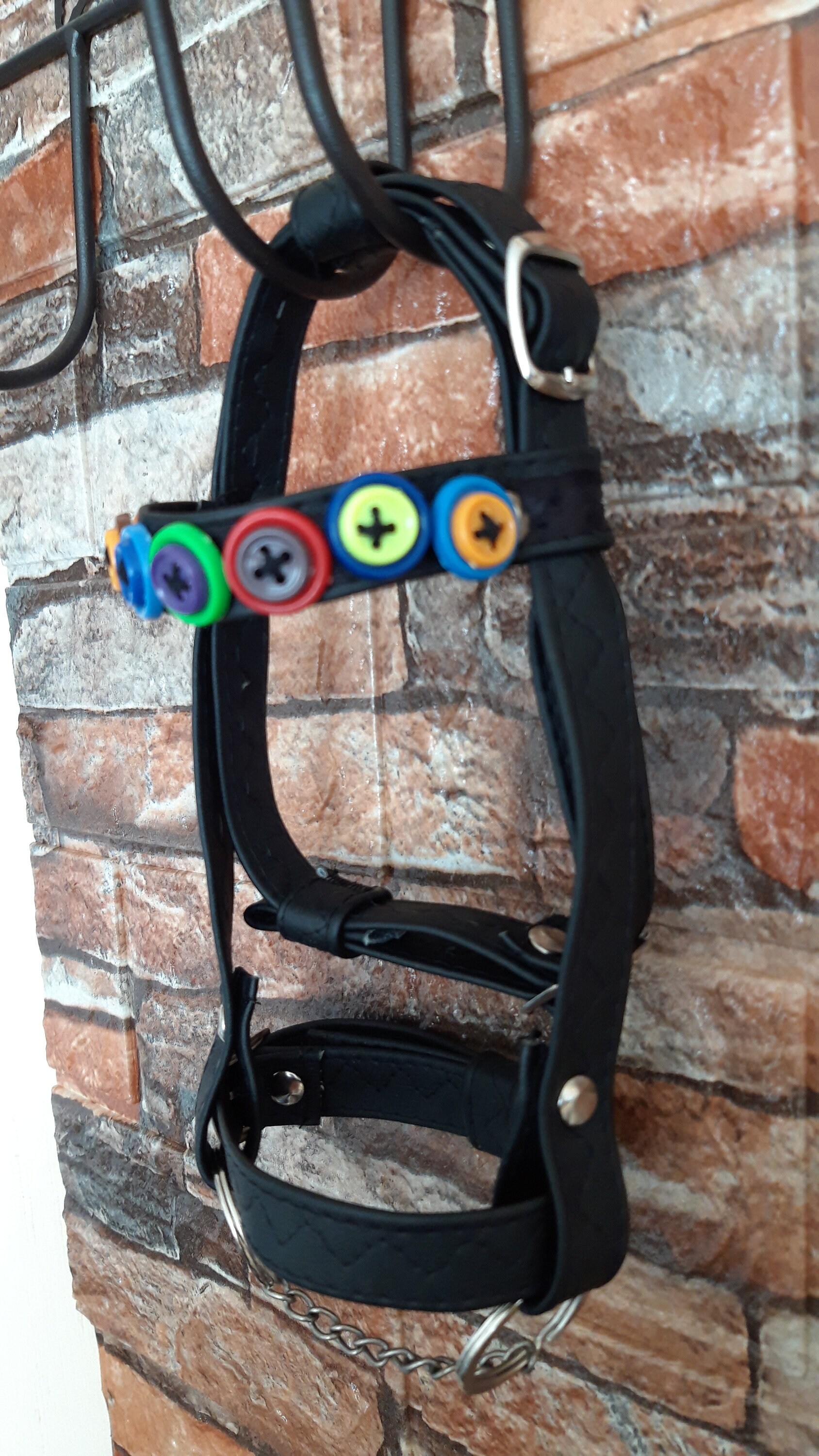 Hobby Horses bridle with buttons Etsy