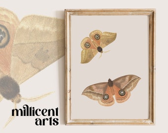 Impresión de polilla / Arte de pared de mariposa vintage / Descarga digital