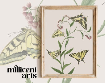 Antique Butterfly Painting | Butterfly Wall Art Printable Download