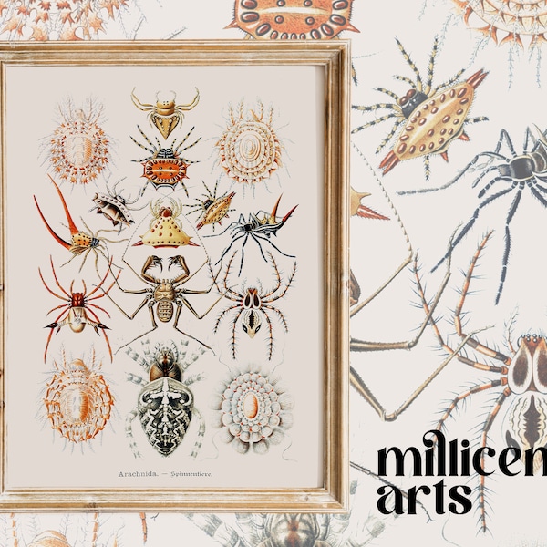 Insect Chart - Etsy