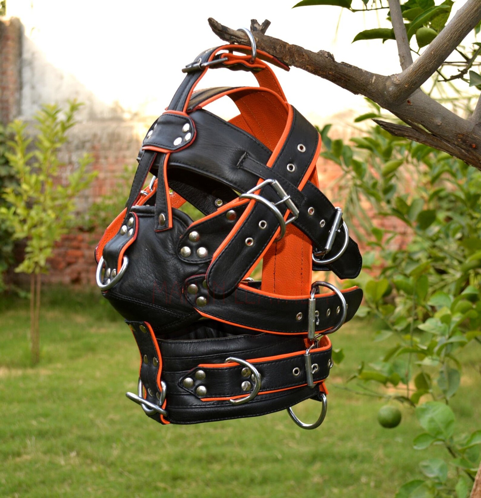 Hand Made Leather Muzzle Head Harness for Men and Women Etsy Canada