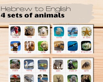 Hebrew-English Animals Matching Set | Bilingual Kids Print