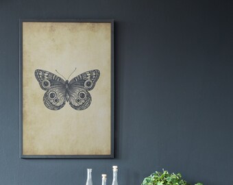 Vintage Butterfly Print- digital print - Butterfly-Antique-Wall Decor- Wall Art