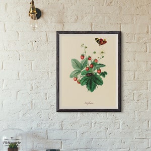 Vintage Strawberry Print- Instant Download- Wall Art- Wall Decor- Vintage Kitchen Print - Antique-botanical