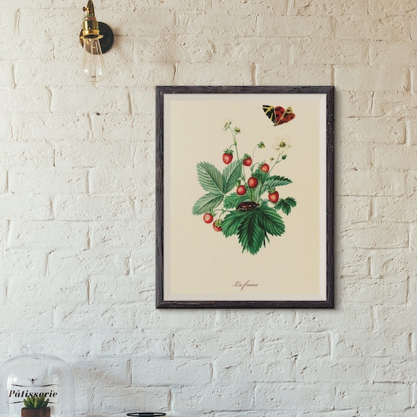 Vintage Strawberry Print- Instant Download- Wall Art- Wall Decor- Vintage Kitchen Print - Antique-botanical