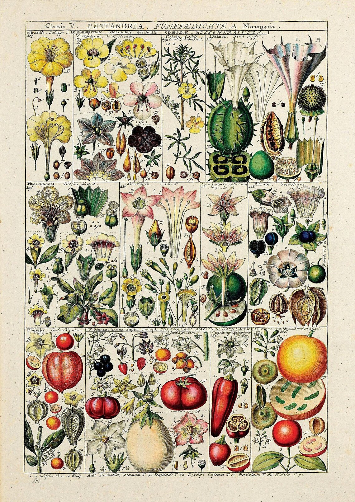 Vintage Kitchen Print- Instant Download- Wall Art- Wall Decor -antique ...