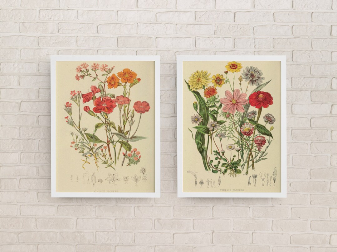 Set of 2 Vintage Flower Prints- Instant Download- Wall Decor- Wall Art ...