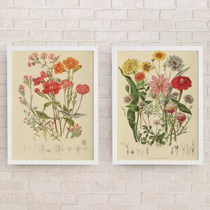 Set of 2 Vintage Flower Prints- Instant Download- Wall Decor- Wall art- Antique- Botanical- Wall Decor- Wall Art