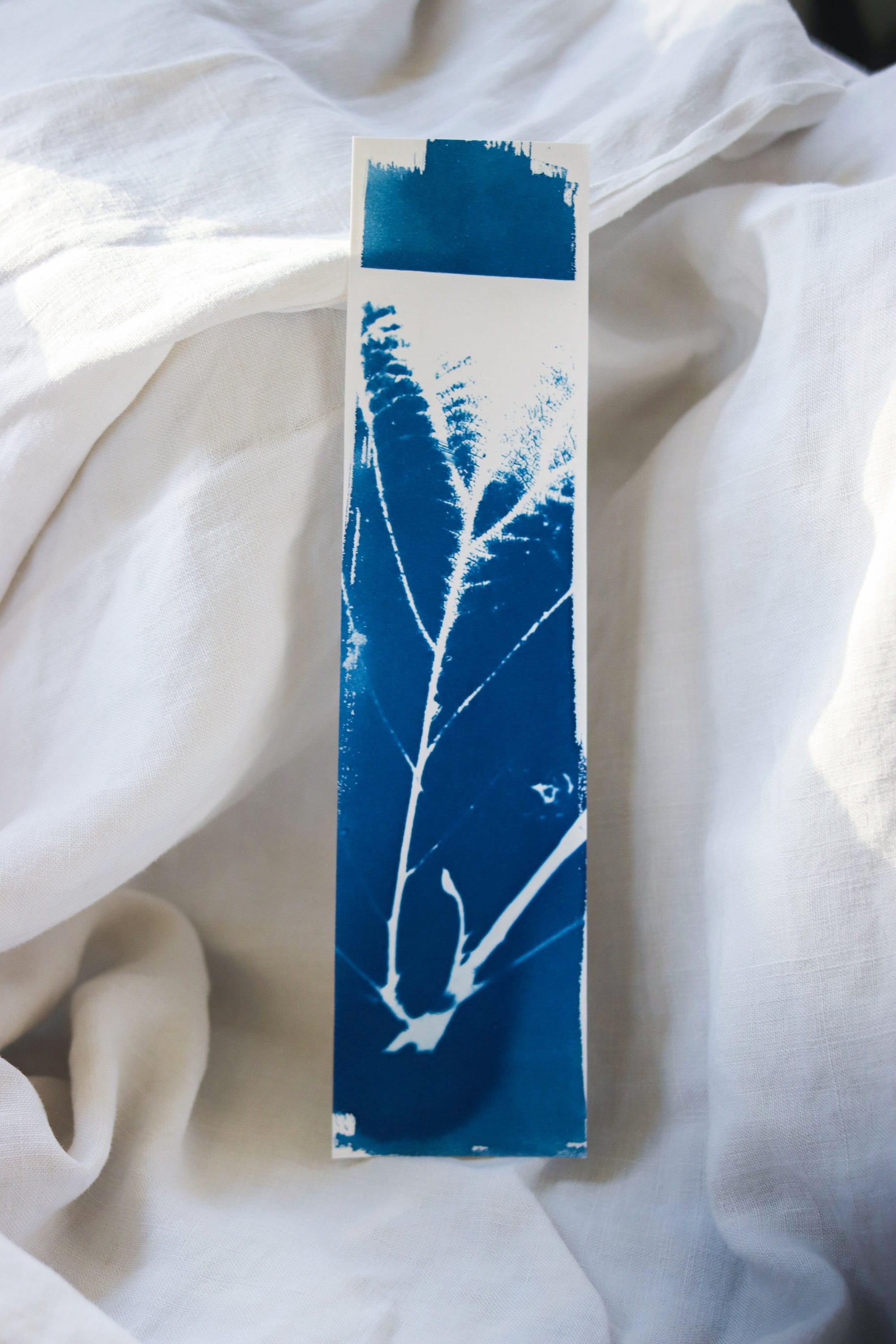 Marque-Page Cyanotype Nervures de Feuilles
