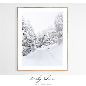 Fine Art Fotografie Druck | Bergfoto | Winterlandschaft | Schweizer Alpen | Beschneite Bäume | Schnee | Wandkunst | Verbier | Schweiz