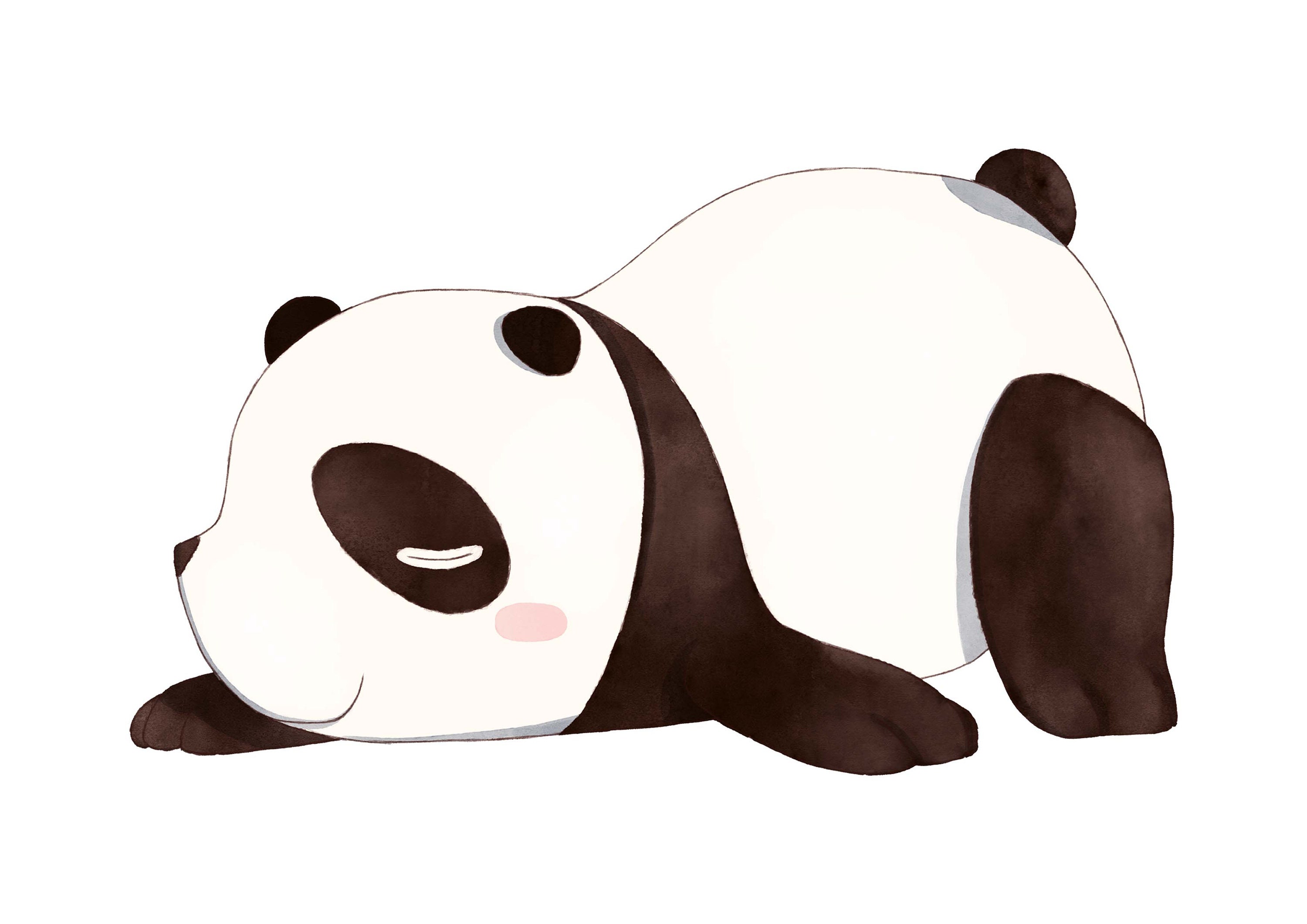 Cute Pandas Direct Download Printable PNG, JPG Digital Watercolor ...